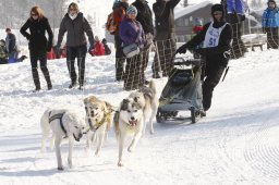 Lenk 2012 SM